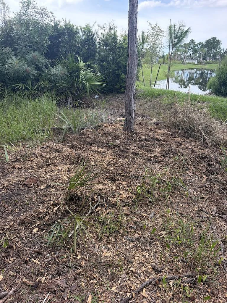 Brush clearing around trees beside a pond